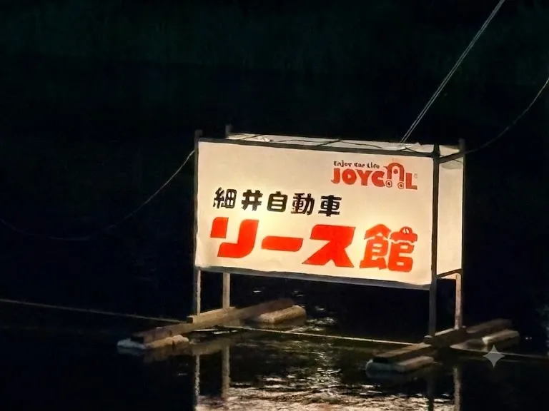 夏の夜空と川面を彩る、幻想的な光の帯。